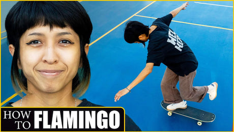 Flamingo